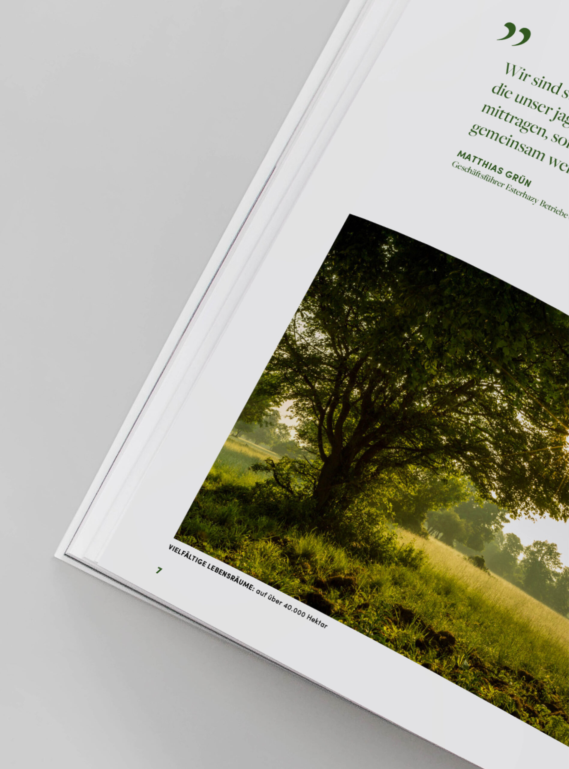 Portfolio-Projekte-Bilder2